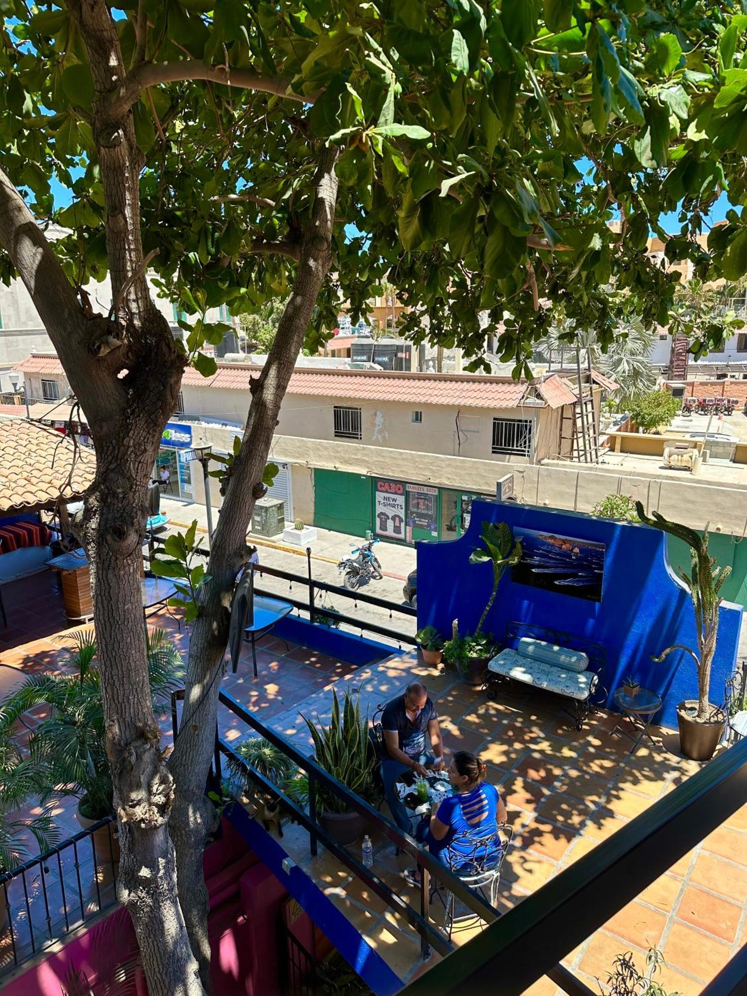 Siesta Suites Boutique Hotel كابو سان لوكاس المظهر الخارجي الصورة