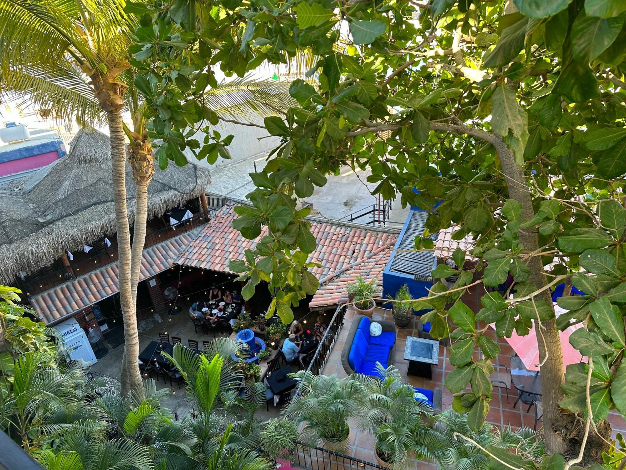 Siesta Suites Boutique Hotel كابو سان لوكاس المظهر الخارجي الصورة