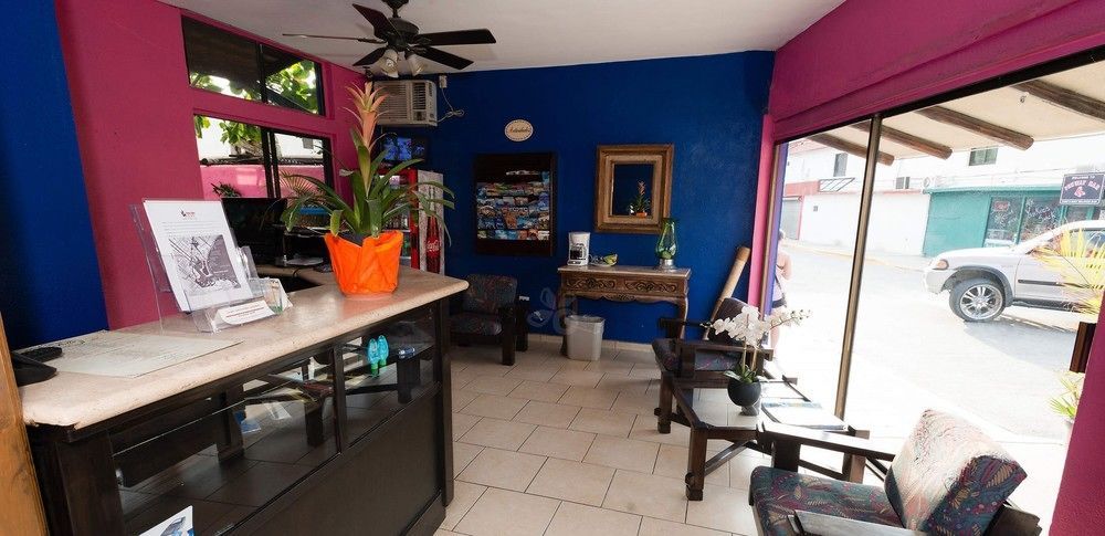 Siesta Suites Boutique Hotel كابو سان لوكاس المظهر الخارجي الصورة