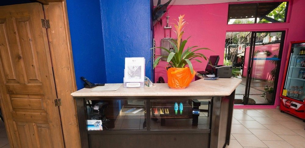 Siesta Suites Boutique Hotel كابو سان لوكاس المظهر الخارجي الصورة