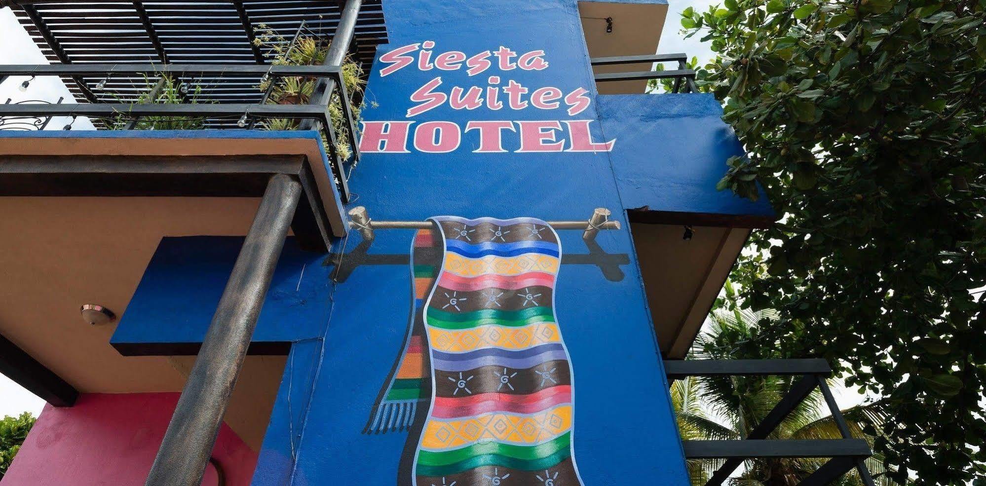 Siesta Suites Boutique Hotel كابو سان لوكاس المظهر الخارجي الصورة