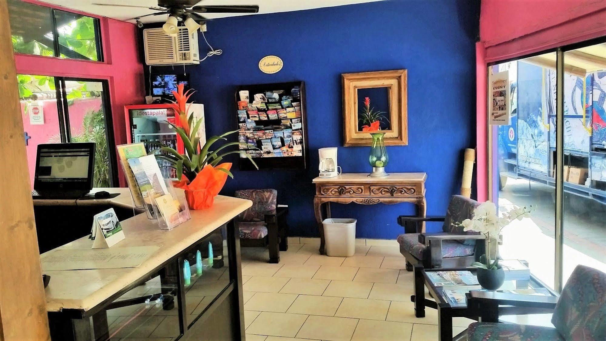 Siesta Suites Boutique Hotel كابو سان لوكاس المظهر الخارجي الصورة